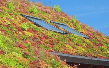 Middle Strath living roof systems