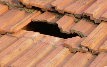 roof repair Middle Strath, West Lothian