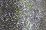 Middle Strath fibreglass roof work